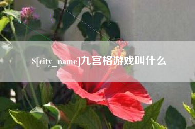 淇县九宫格游戏叫什么