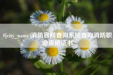 淇县消防官网查询系统查询消防职业资格证书