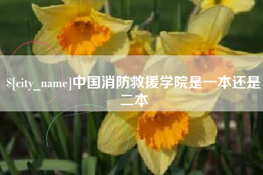 淇县中国消防救援学院是一本还是二本