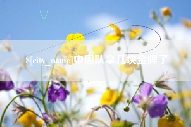淇县中国队拿几块金牌了