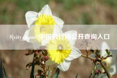 淇县中国执行网公开查询入口