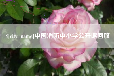 淇县中国消防中小学公开课回放