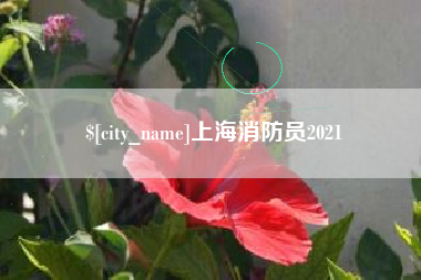 淇县上海消防员2021