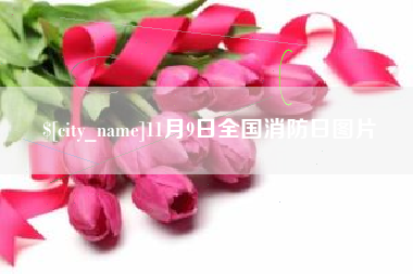 淇县11月9日全国消防日图片