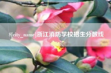 淇县浙江消防学校招生分数线
