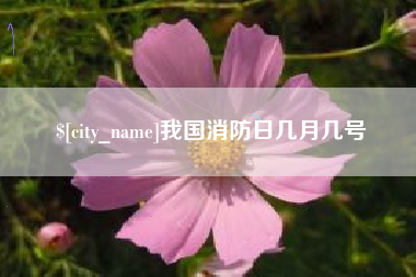 淇县我国消防日几月几号