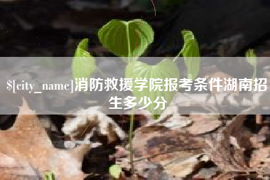 淇县消防救援学院报考条件湖南招生多少分