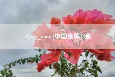 淇县中国金牌18金