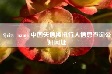 淇县中国失信被执行人信息查询公开网址