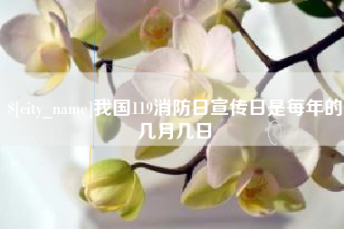 淇县我国119消防日宣传日是每年的几月几日