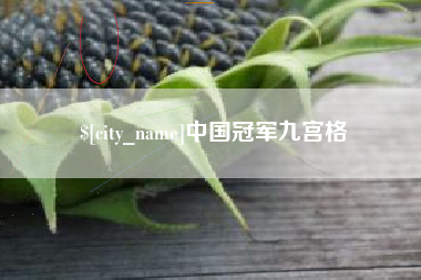 淇县中国冠军九宫格