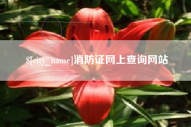 淇县消防证网上查询网站