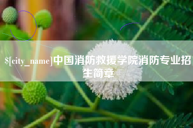 淇县中国消防救援学院消防专业招生简章
