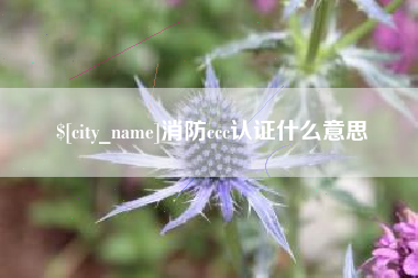 淇县消防ccc认证什么意思