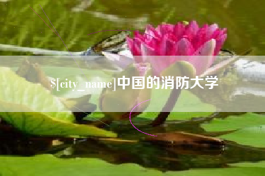 淇县中国的消防大学