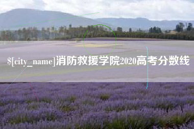 淇县消防救援学院2020高考分数线