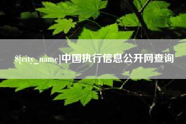 淇县中国执行信息公开网查询