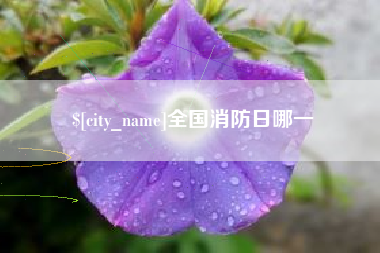 淇县全国消防日哪一