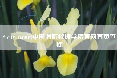淇县中国消防救援学院官网首页查询