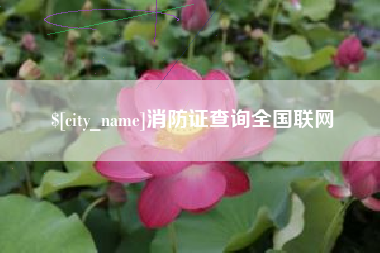 淇县消防证查询全国联网