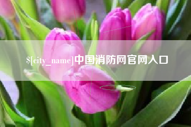 淇县中国消防网官网入口