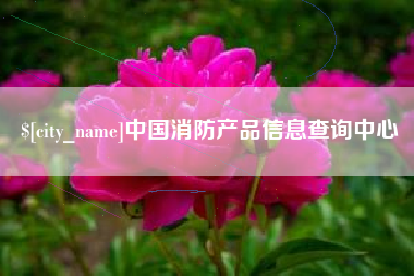 淇县中国消防产品信息查询中心