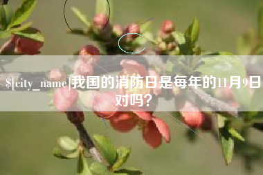 淇县我国的消防日是每年的11月9日对吗？