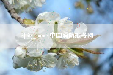 淇县中国消防报考网