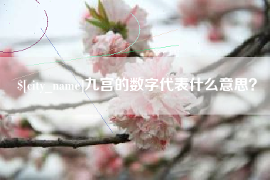 淇县九宫的数字代表什么意思？