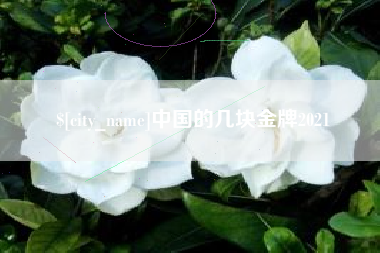 淇县中国的几块金牌2021
