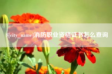 淇县消防职业资格证书怎么查询