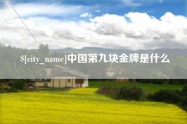 淇县中国第九块金牌是什么