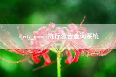淇县执行公告查询系统