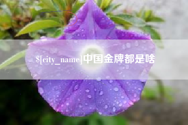 淇县中国金牌都是啥