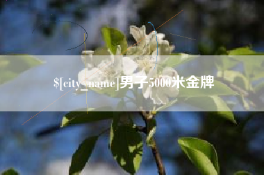 淇县男子5000米金牌