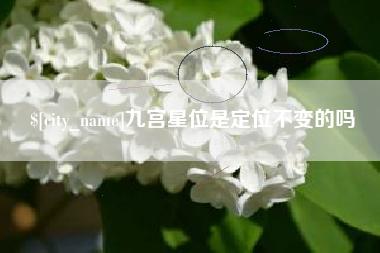 淇县九宫星位是定位不变的吗