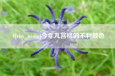 淇县今年九宫格的不利颜色