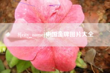 淇县中国金牌图片大全