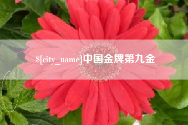 淇县中国金牌第九金