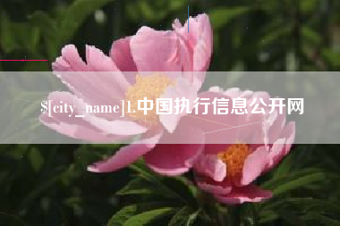 淇县1.中国执行信息公开网