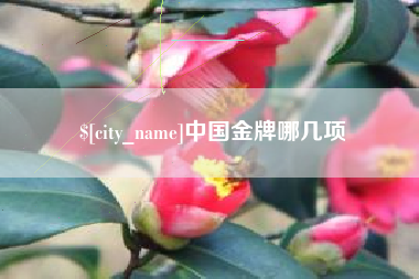 淇县中国金牌哪几项