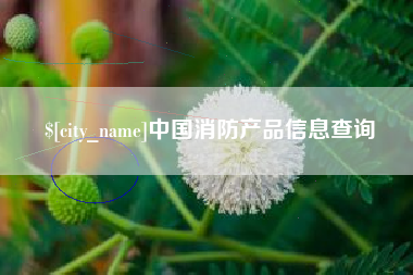 淇县中国消防产品信息查询