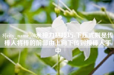 淇县60米接力赛技巧-下压式则是传棒人将棒的前部由上向下传到接棒人手中