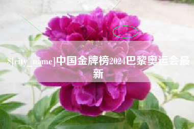 淇县中国金牌榜2024巴黎奥运会最新