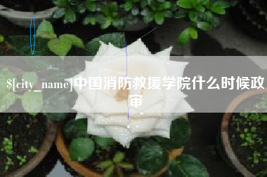淇县中国消防救援学院什么时候政审