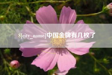 淇县中国金牌有几枚了