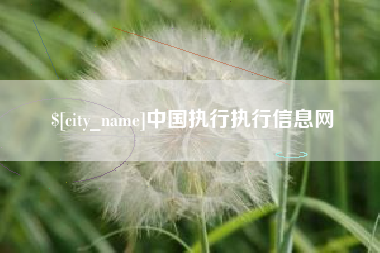 淇县中国执行执行信息网