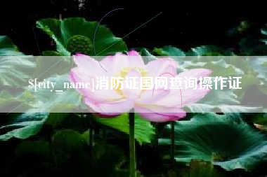 淇县消防证国网查询操作证