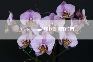 淇县中国消防官方