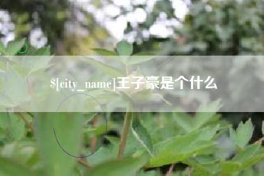 淇县王子豪是个什么